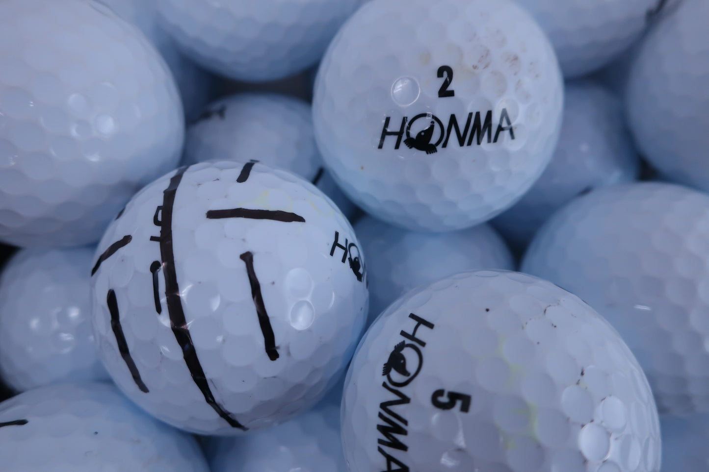 HONMA GOLF(本間ゴルフ) ロストボール 白 20球 D1 B-2