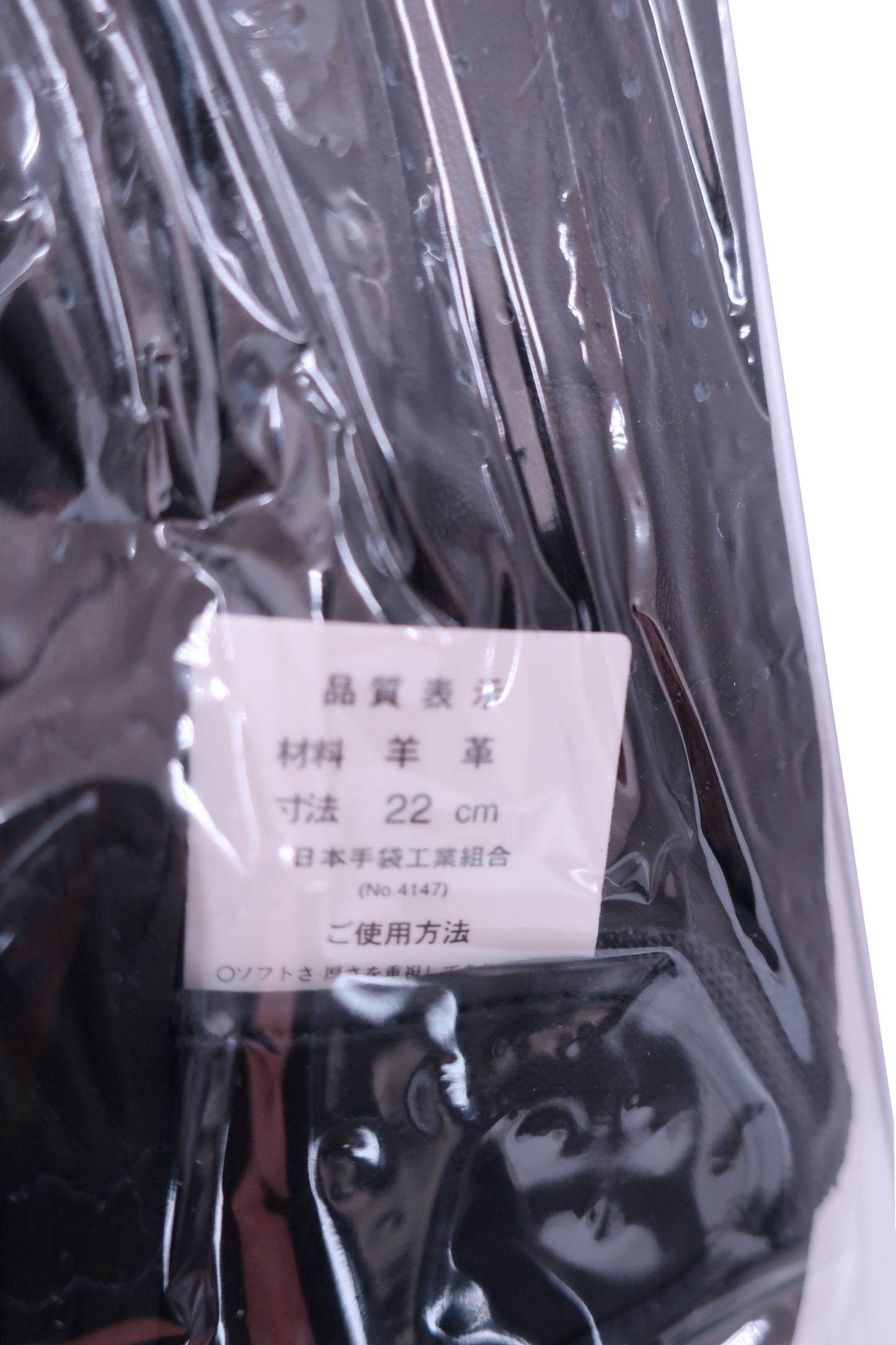Kasco(キャスコ) ゴルフグローブ SILKY FIT 黒 メンズ 22cm GF-17251 N-5
