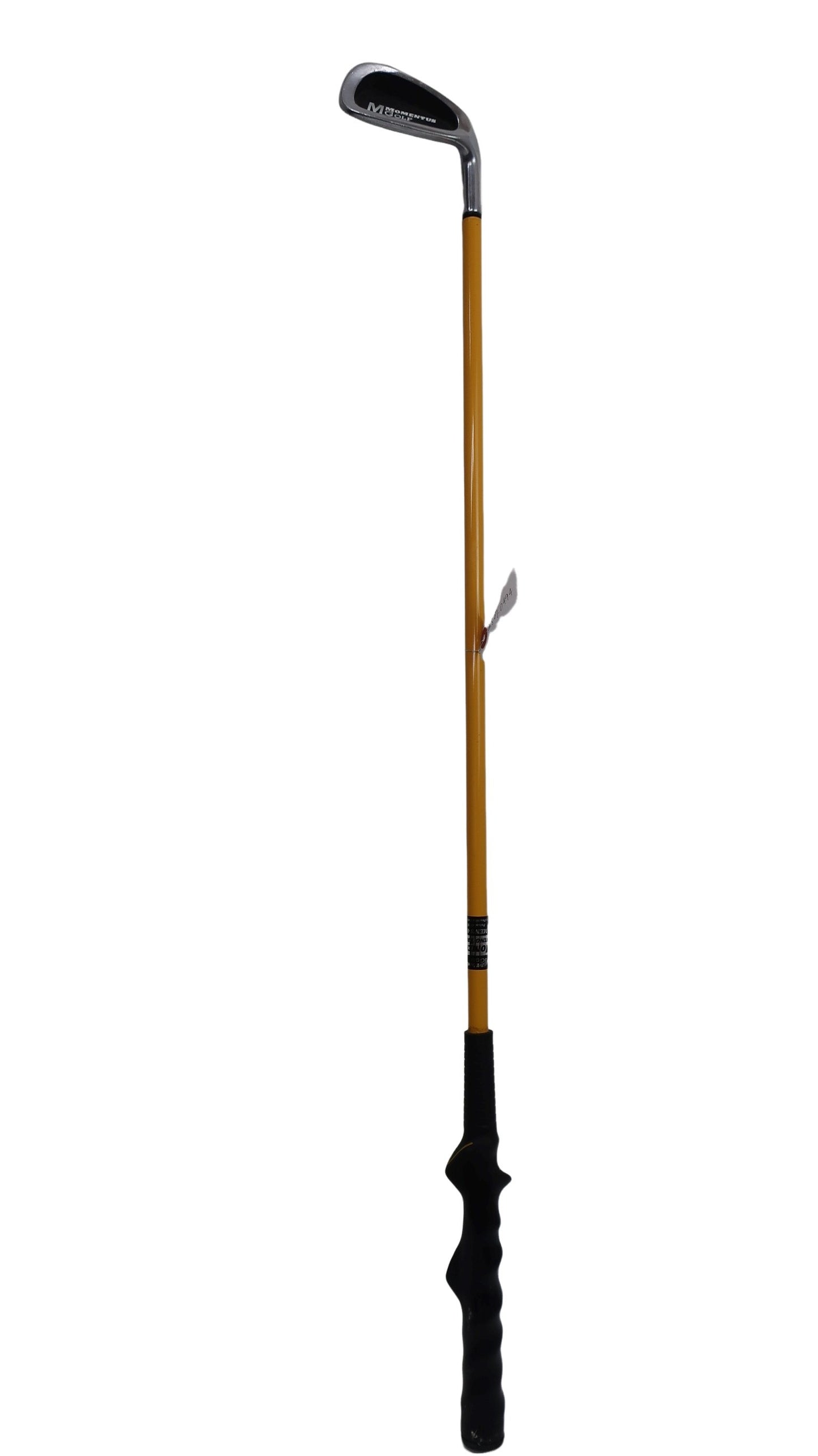 MOMENTUS(モーメンタス) スイングトレーナー スイング練習器具 B