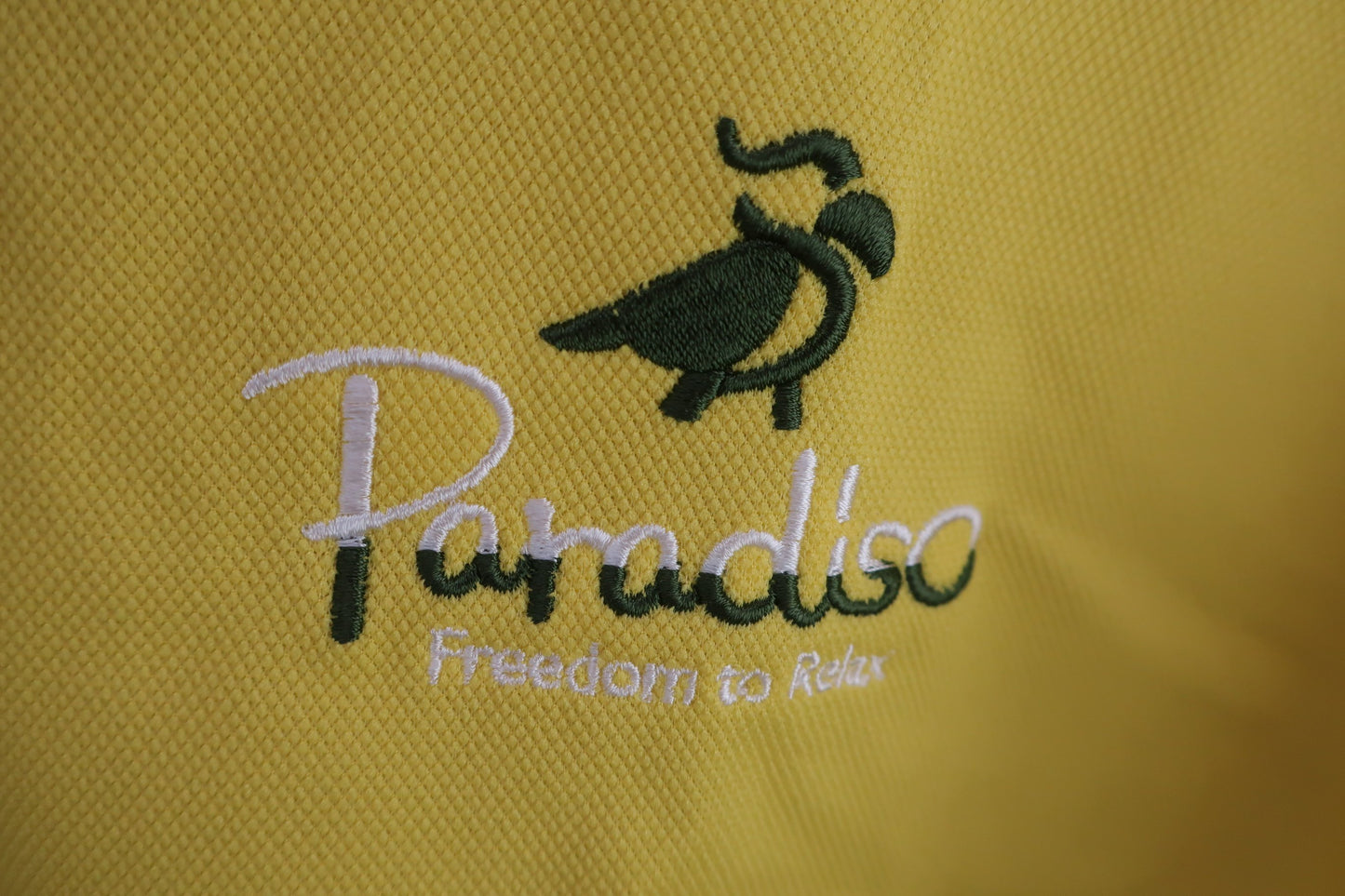 Paradiso(パラディーゾ) 長袖ポロシャツ 黄色 メンズ 3L N-2