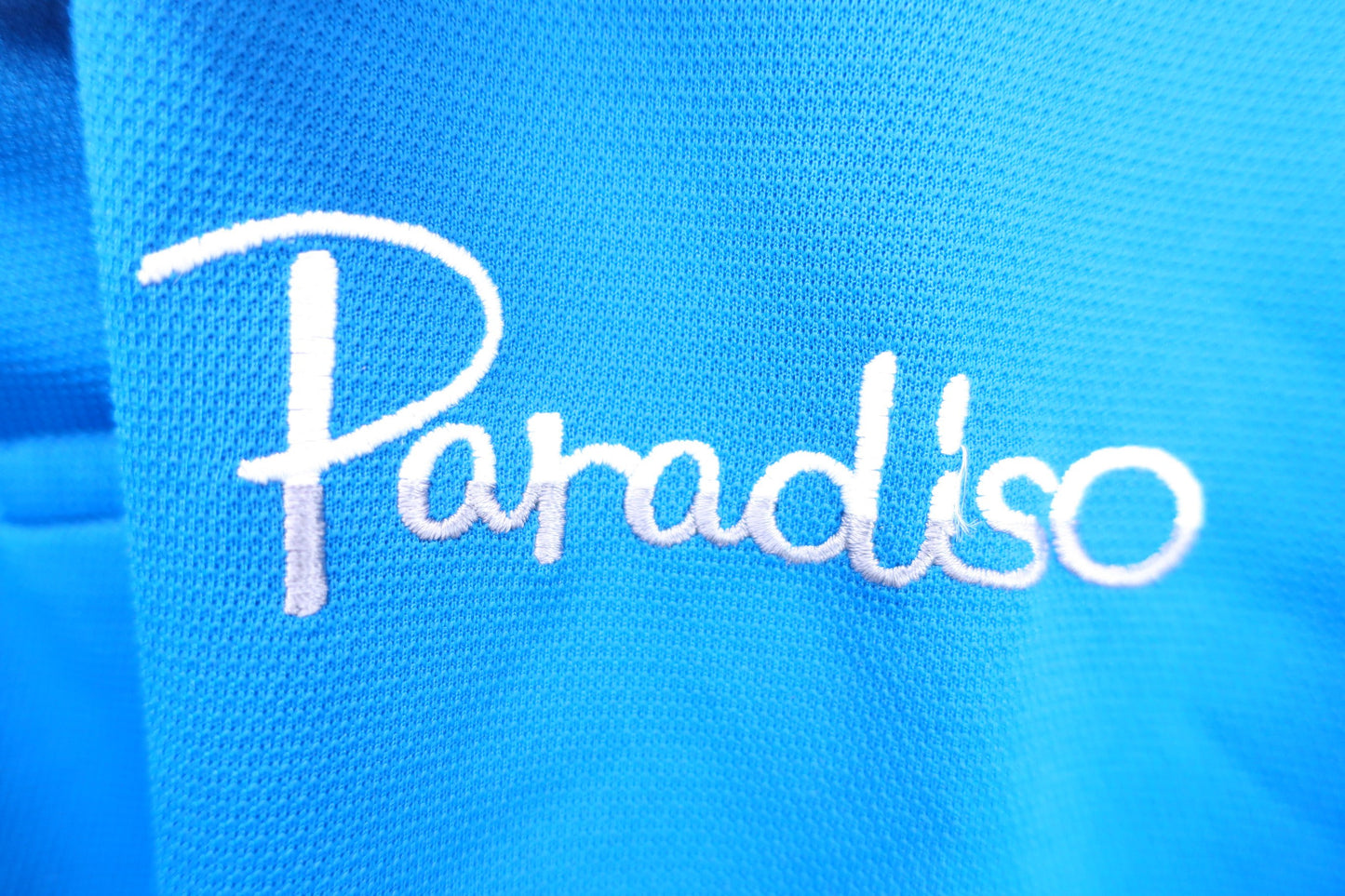 Paradiso(パラディーゾ) ポロシャツ 青 レディース M A-3