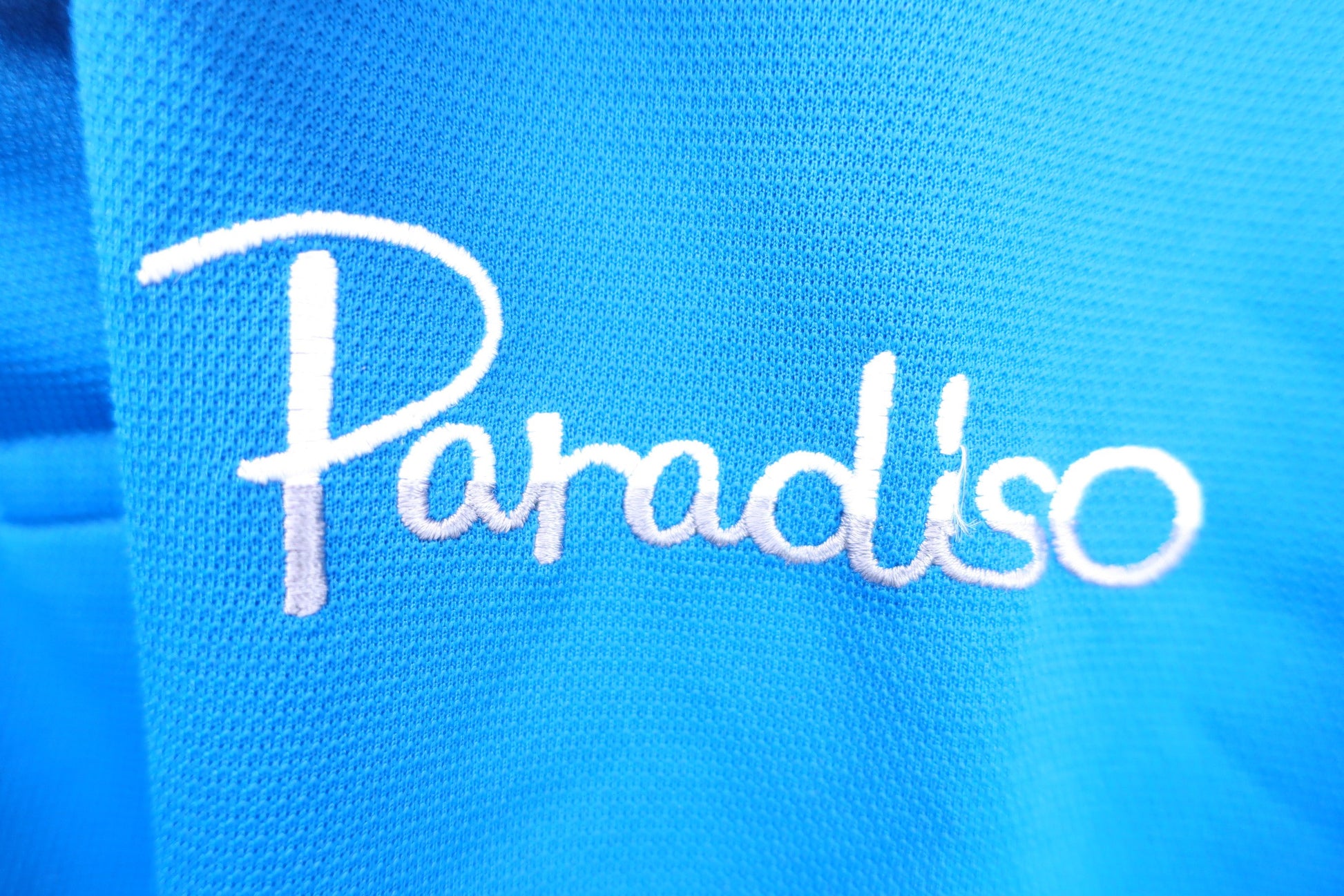 Paradiso(パラディーゾ) ポロシャツ 青 レディース M A-3