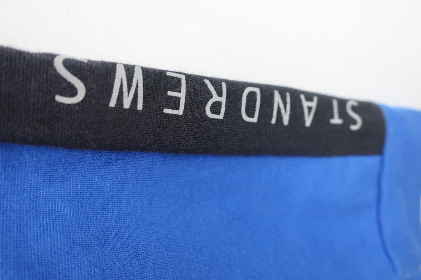 St ANDREWS(セントアンドリュース) 長袖モックネックシャツ 青 メンズ LL A-4