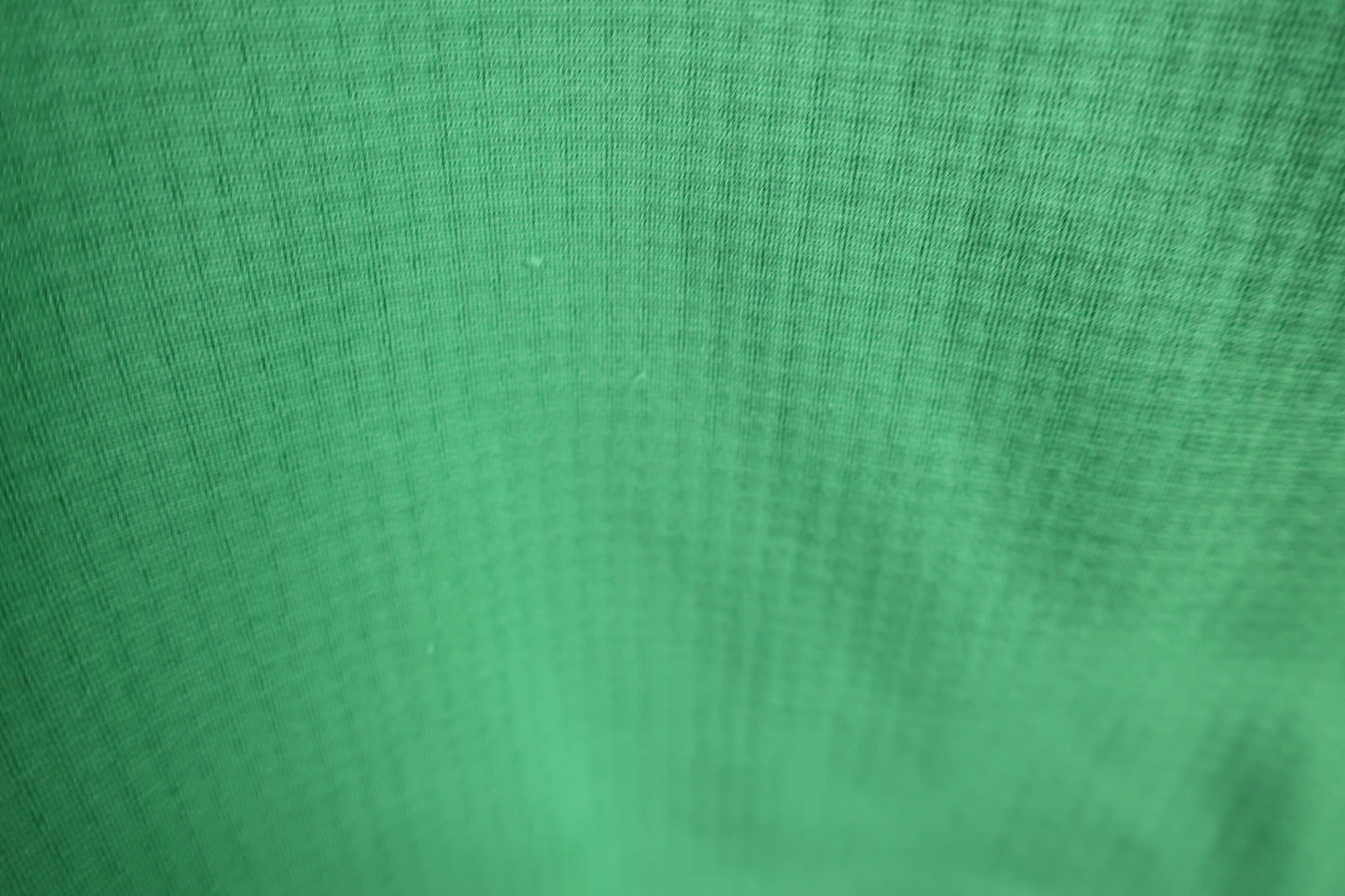 Dance With Dragon(ダンスウィズドラゴン) ハーフジップシャツ 緑 メンズ 3 D1-131100 A-4