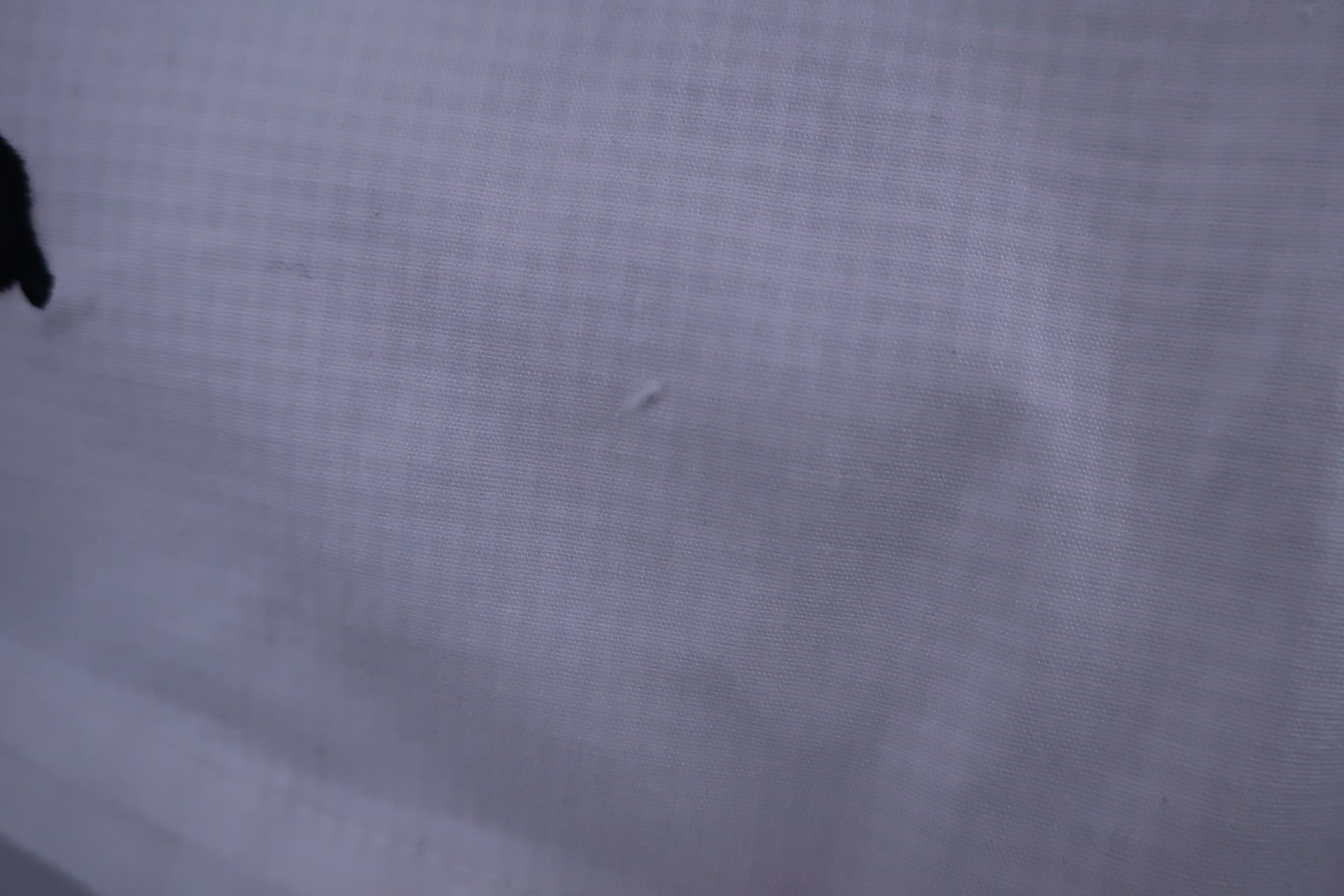 archivio(アルチビオ) ショートパンツ 白ロゴ柄 レディース 40 A757225 A-6