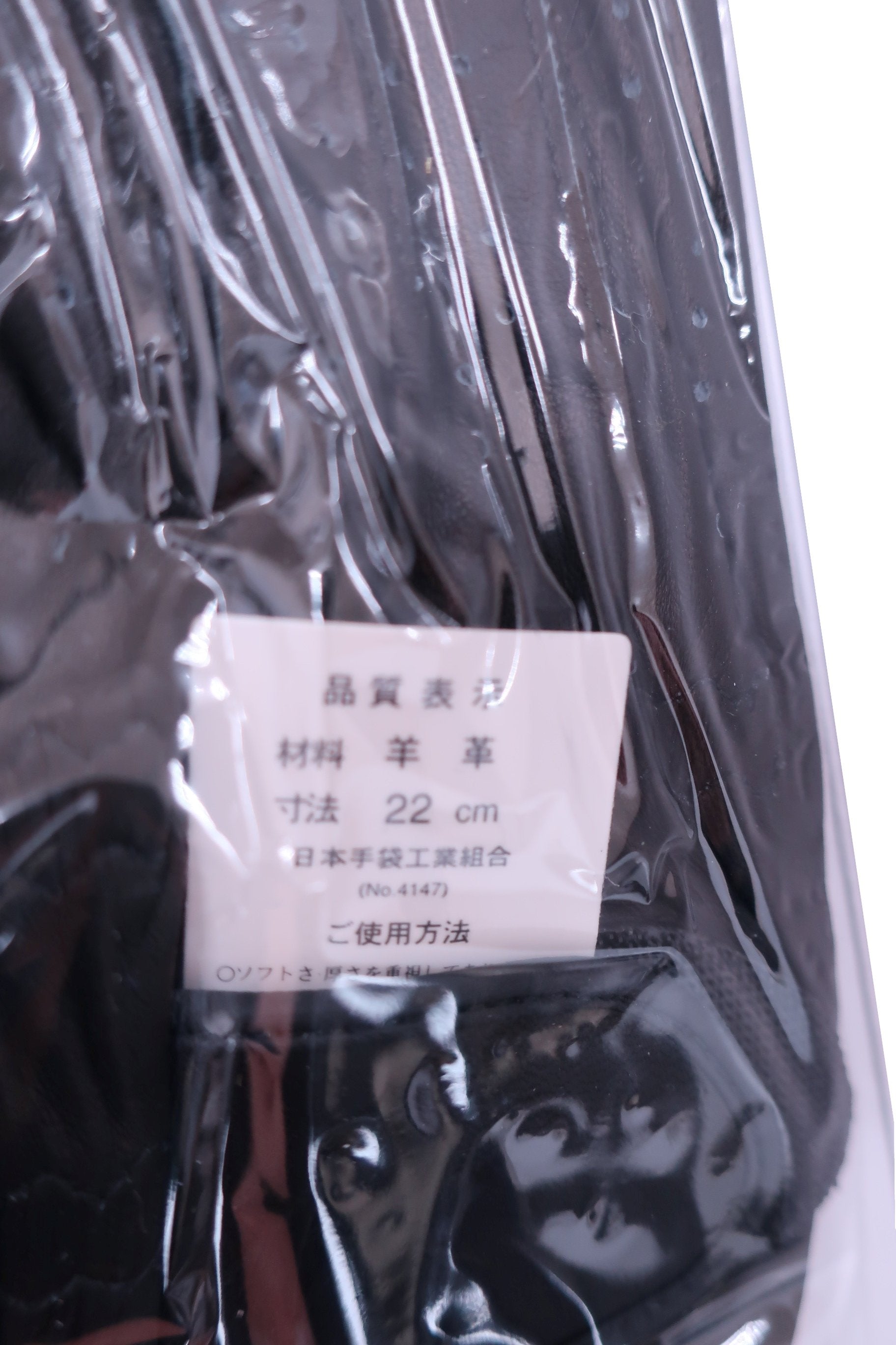 Kasco(キャスコ) ゴルフグローブ SILKY FIT 黒 メンズ 22cm GF-17251 N-5