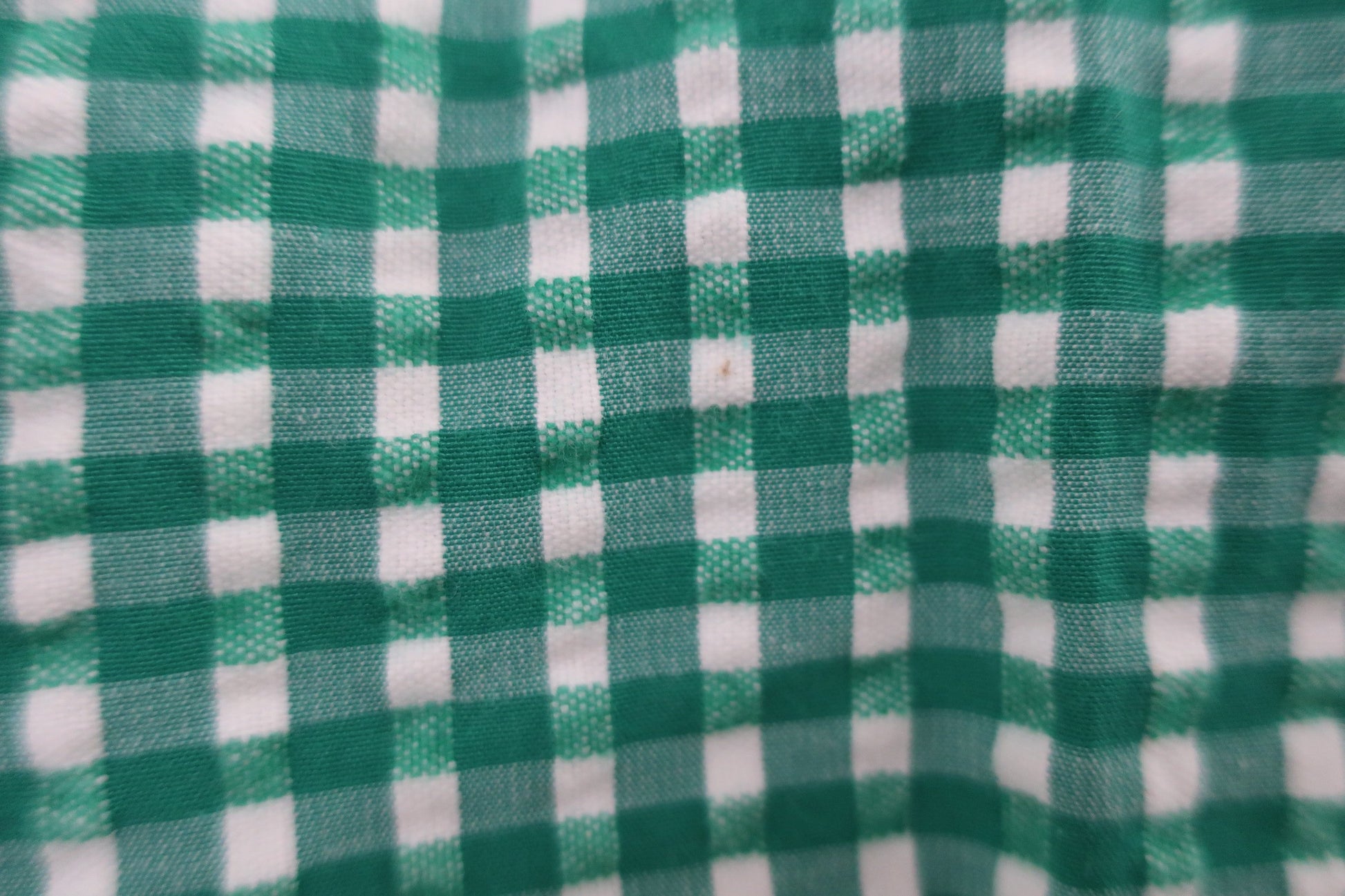 Jack Bunny(ジャックバニー) パンツ 緑白ギンガムチェック レディース 2 263-9131408 B-2