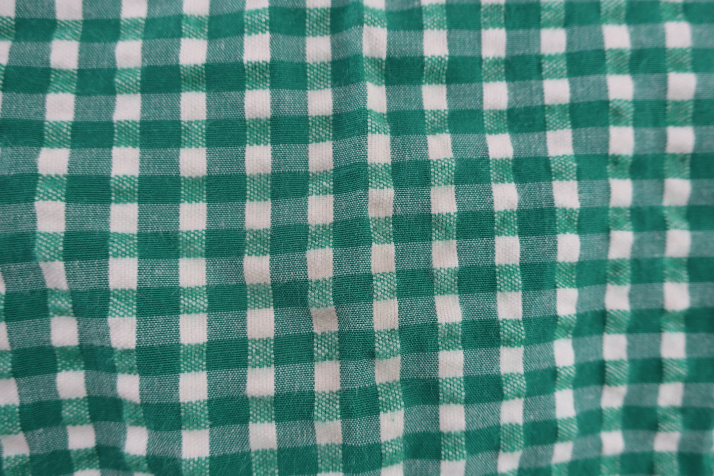 Jack Bunny(ジャックバニー) パンツ 緑白ギンガムチェック レディース 2 263-9131408 B-3