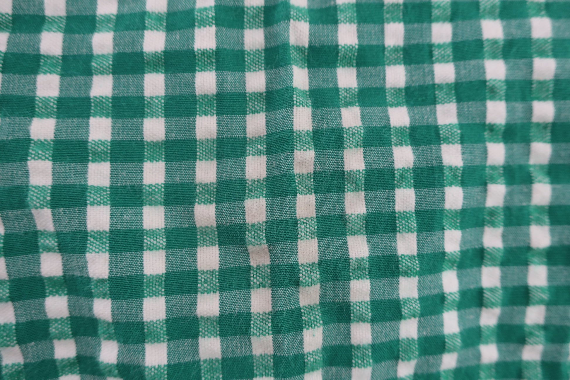 Jack Bunny(ジャックバニー) パンツ 緑白ギンガムチェック レディース 2 263-9131408 B-3