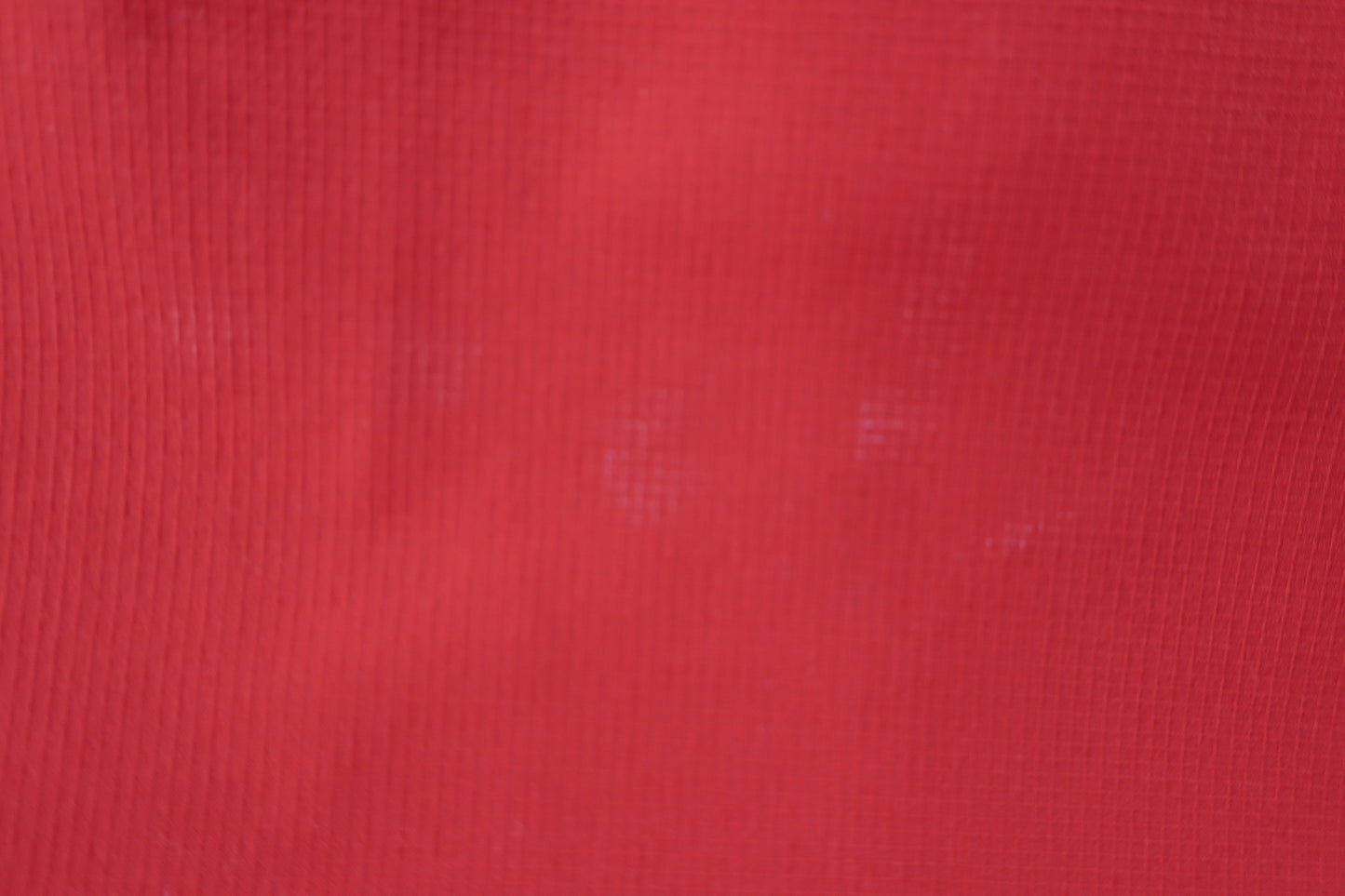 Dance With Dragon(ダンスウィズドラゴン) パンツ 赤 レディース 2 D2-465120 A-6