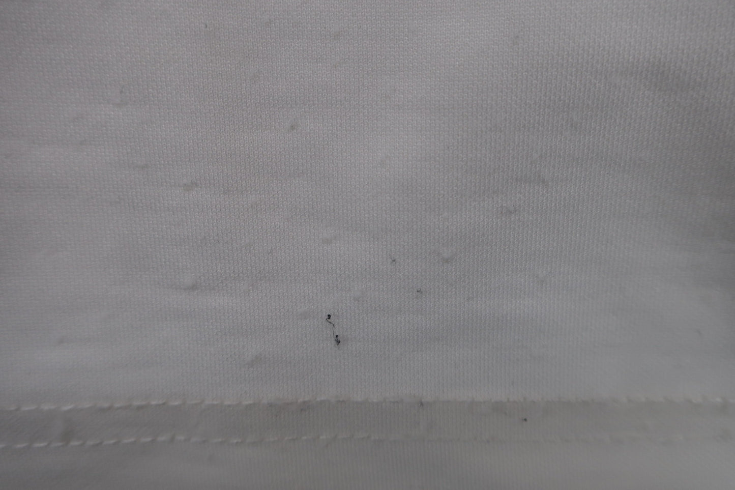 Dance With Dragon(ダンスウィズドラゴン) スカート 白 レディース 2 D2-482320 B