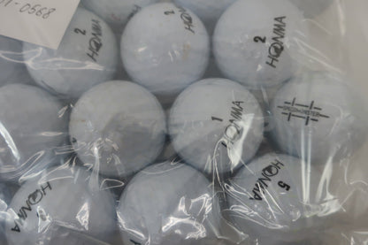 HONMA GOLF(本間ゴルフ) ロストボール 白 20個 B