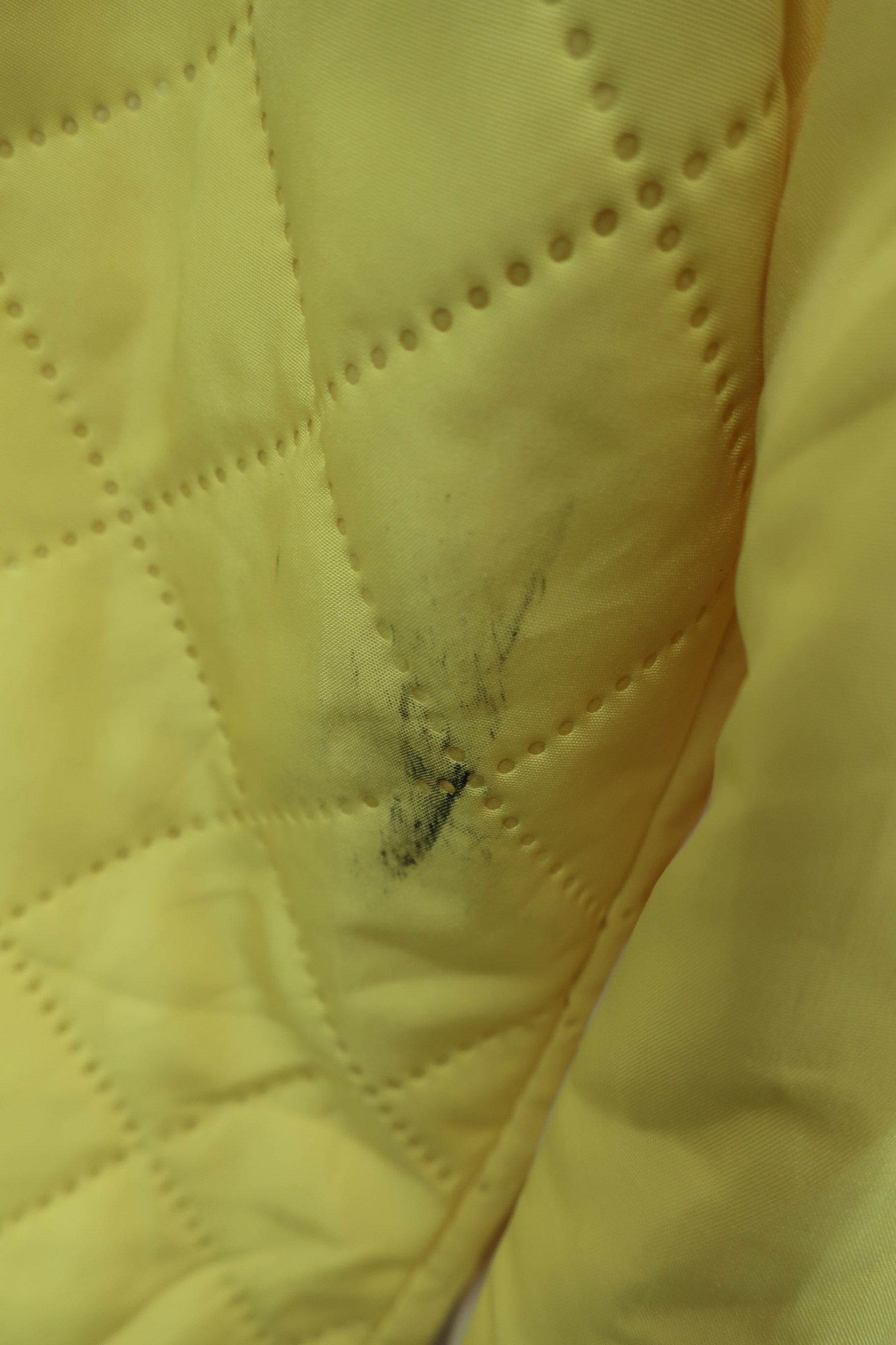 Paradiso(パラディーゾ) フルジップナイロンジャケット 黄色 レディース L C