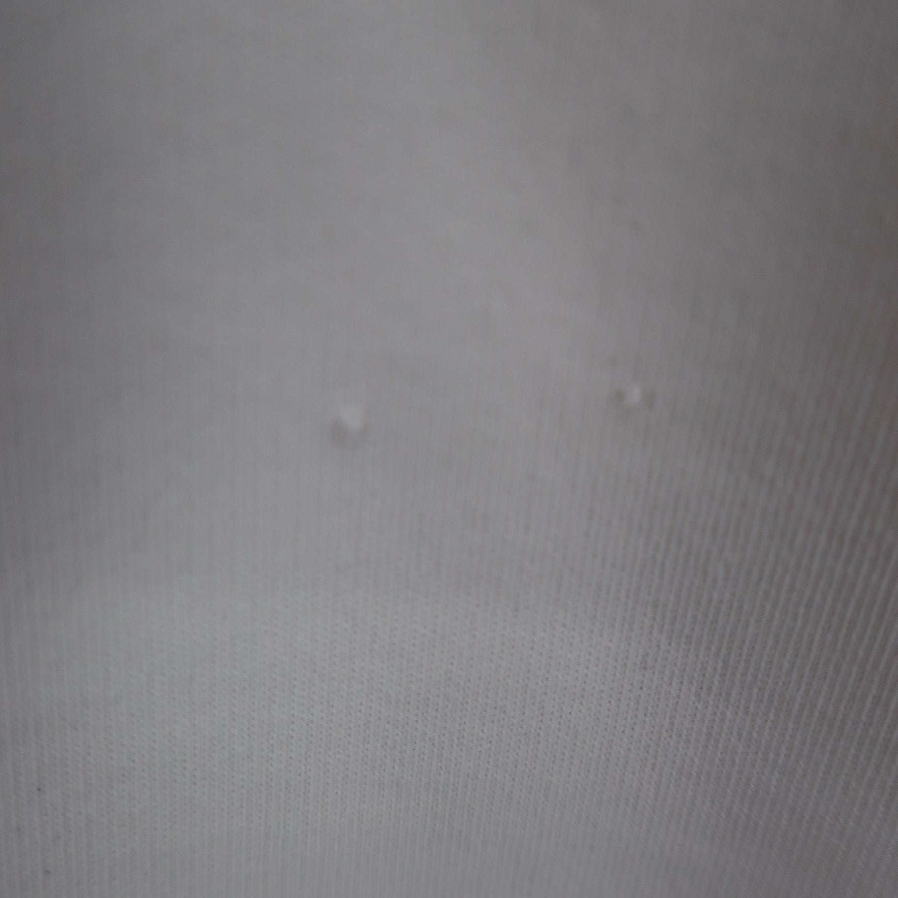 V12(ヴィトゥエルブ) 半袖モックネックシャツ 白 レディース 0 VLX2111-CT06 A