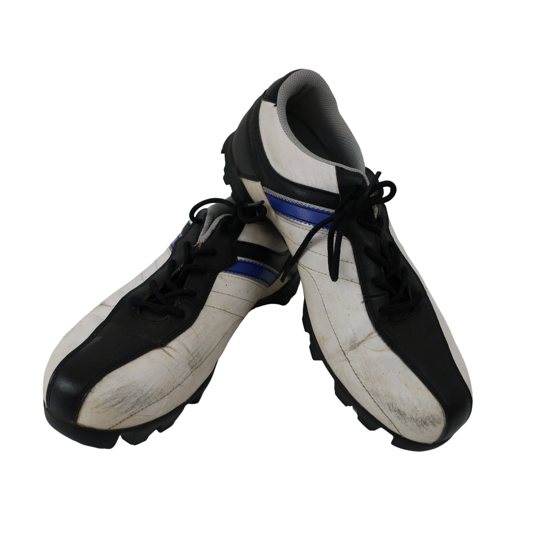 MIZUNO(ミズノ) ゴルフシューズ 白 メンズ 25.0cm C