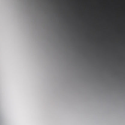 NIKE GOLF(ナイキゴルフ) シューズケース ゴールド黒 フリーサイズ B