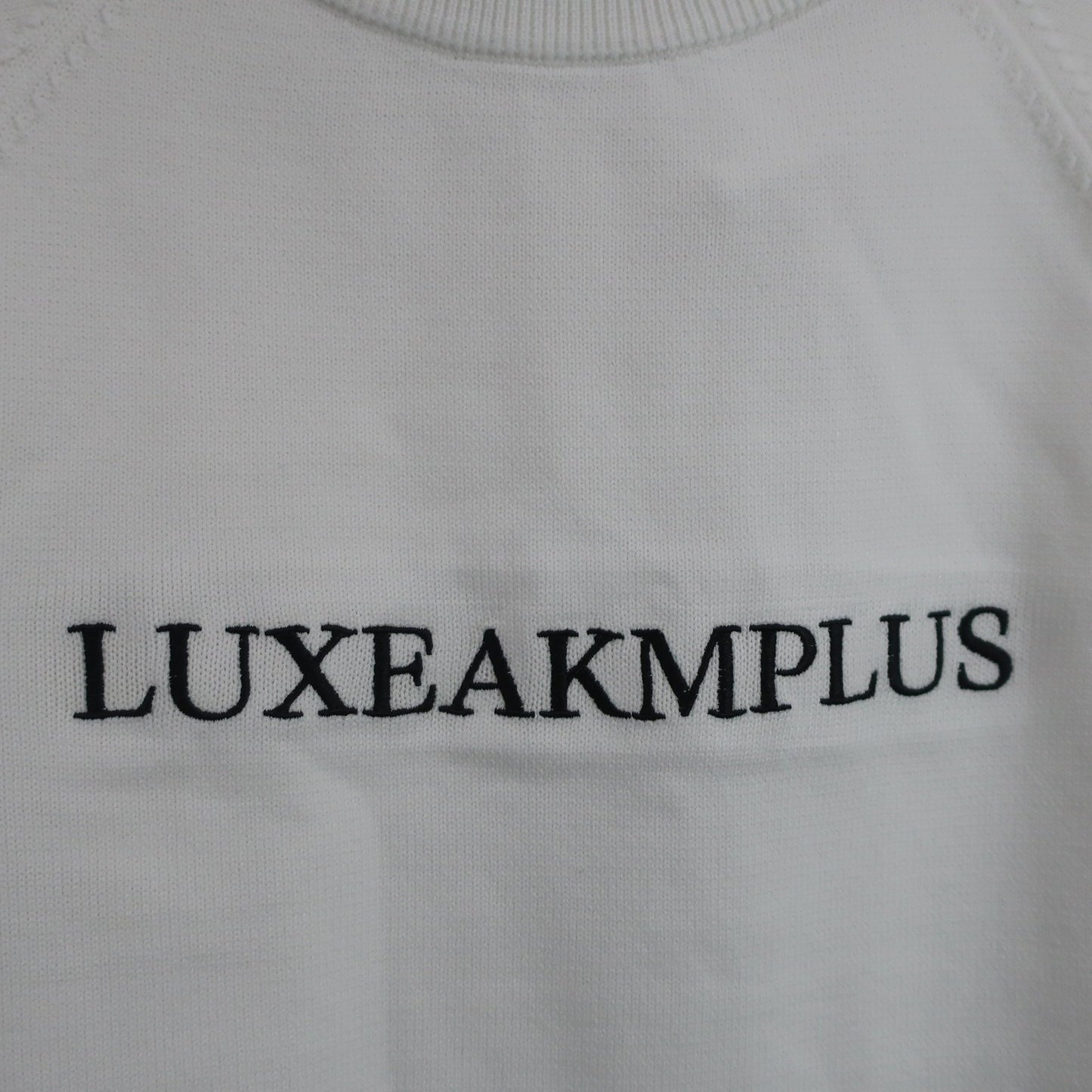 LUXEAKMPLUS(リュクスエイケイエムプラス) セーター 白 メンズ L B