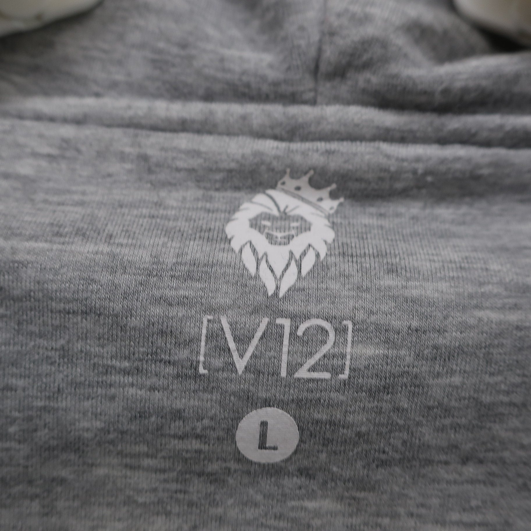 V12(ヴィトゥエルブ) パーカー グレー青カモフラ柄 メンズ L V122010-SW03 A