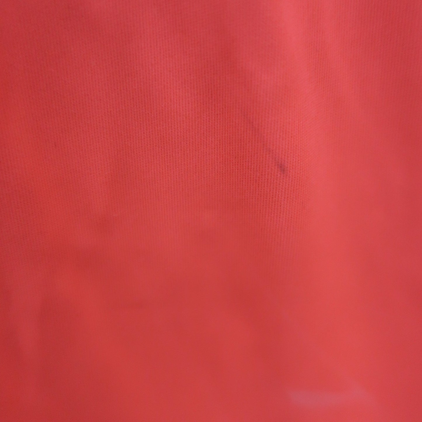 RLX RALPH LAUREN(アールエルエックス) スカート ピンク レディース 2 A