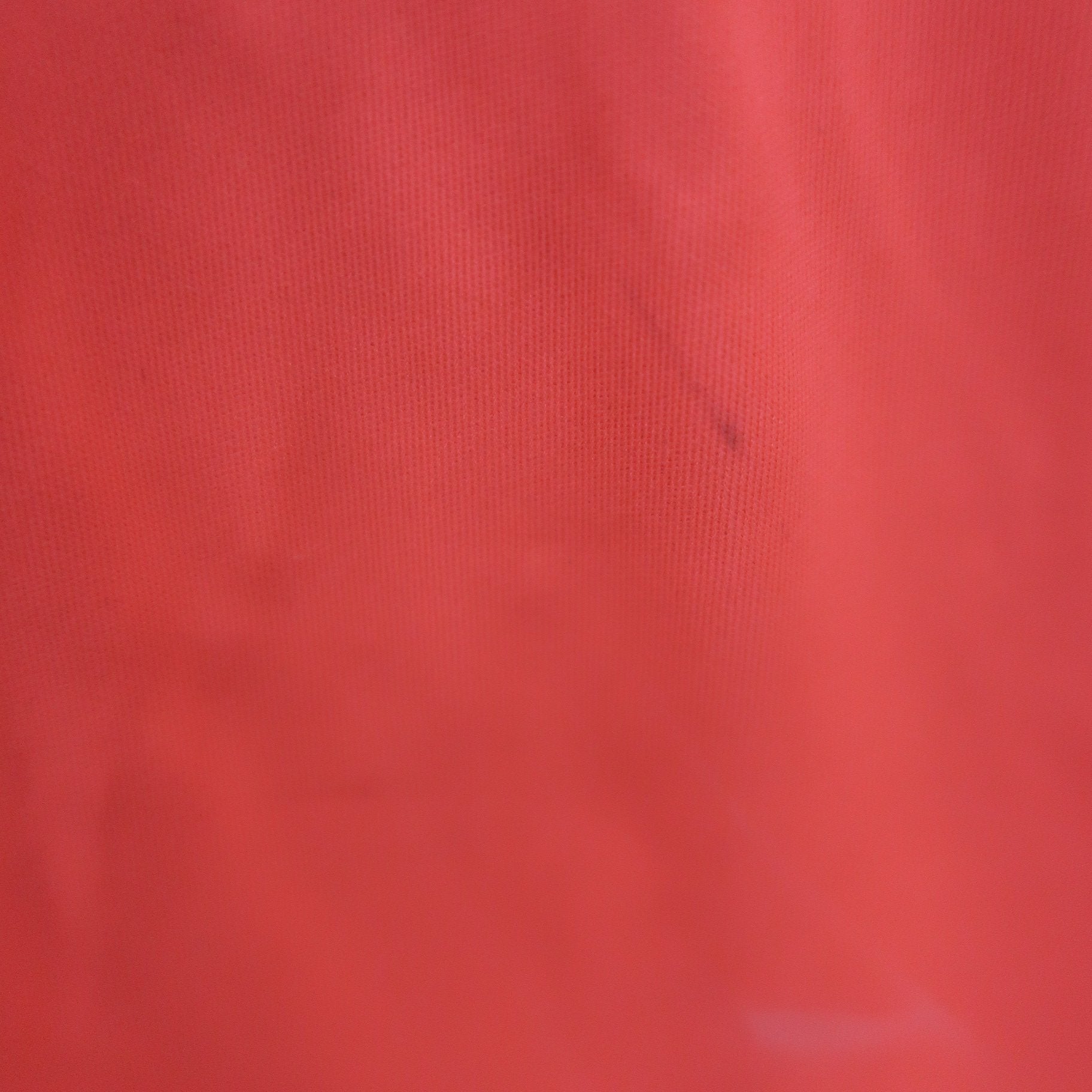 RLX RALPH LAUREN(アールエルエックス) スカート ピンク レディース 2 A
