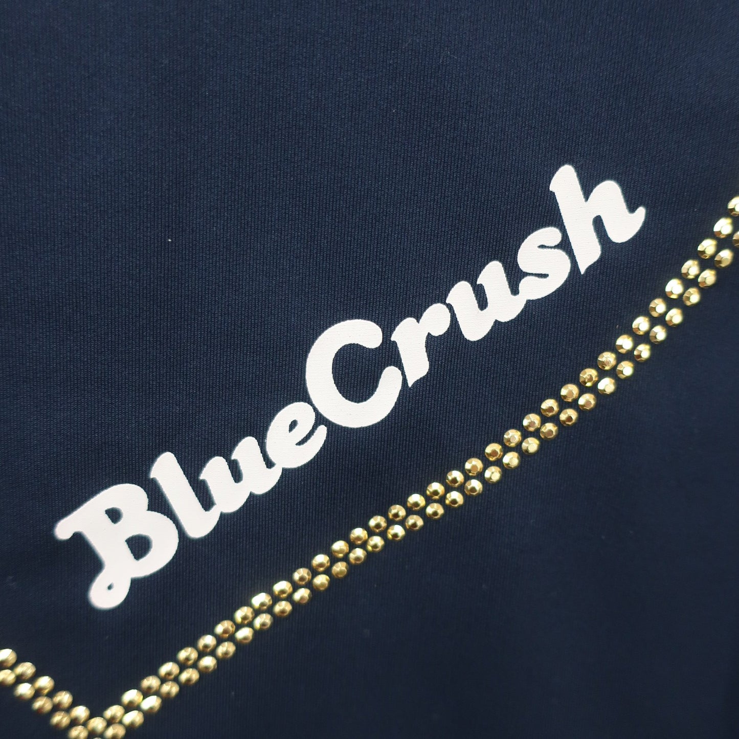 BLUE CRUSH(ブルークラッシュ) 長袖ポロシャツ ネイビー レディース A