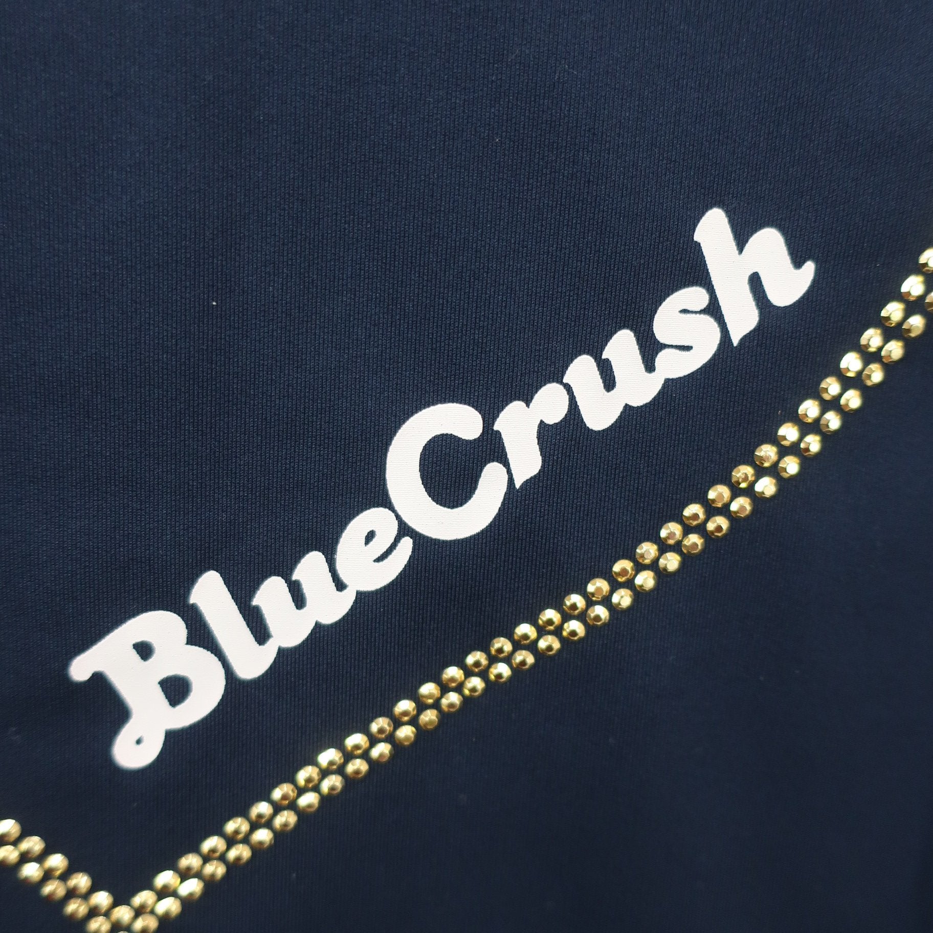 BLUE CRUSH(ブルークラッシュ) 長袖ポロシャツ ネイビー レディース A